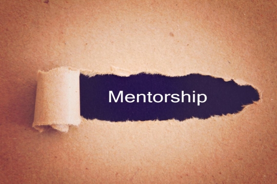The word mentorship