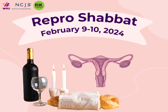 Repro Shabbat February 9-10, 2024, with a picture of a wine glass, Shabbat candles, challah, and a uterus. 